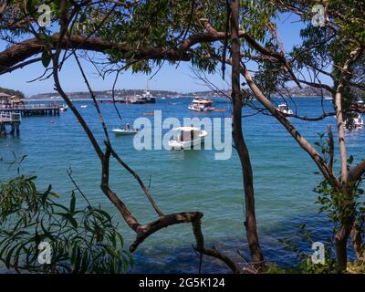 Blick auf den Hafen von Sydney und CDB an einem schönen sonnigen blauen Himmel klares blaues Wasser Boote Yachten und Fähren Wohn- und Geschäftsgebäude Australien Stockfoto