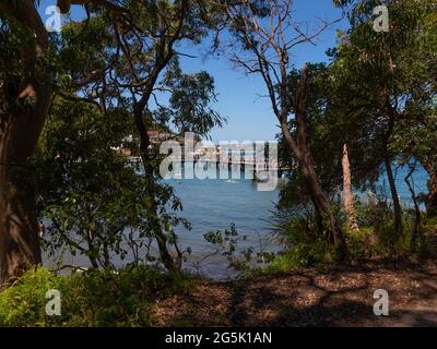 Blick auf den Hafen von Sydney und CDB an einem schönen sonnigen blauen Himmel klares blaues Wasser Boote Yachten und Fähren Wohn- und Geschäftsgebäude Australien Stockfoto