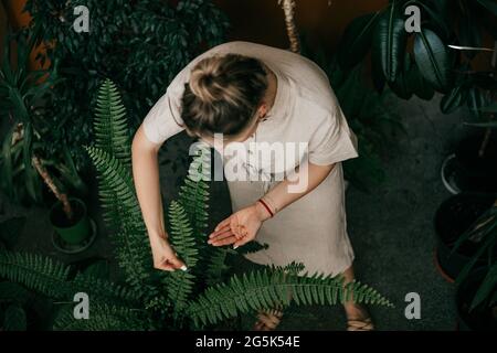 Junge Frau in Leinenkleidung kümmert sich um Blumen im Produktionsgebäude. Draufsicht Stockfoto