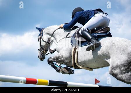 Pferdesport Foto-Themen: Springen, Show Jumping, Reiten. Stockfoto