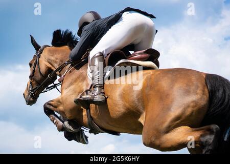 Pferdesport Foto-Themen: Springen, Show Jumping, Reiten. Stockfoto