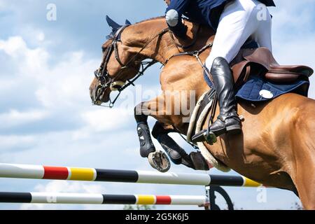 Pferdesport Foto-Themen: Springen, Show Jumping, Reiten. Stockfoto