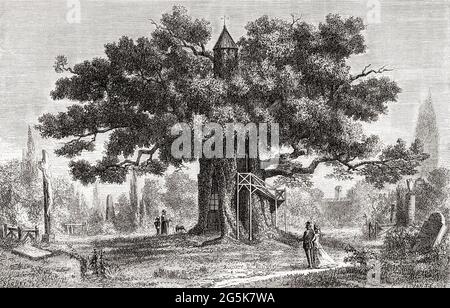 Die Chêne chapelle, oder Kapelle Eiche, eine Eiche in Allouville-Bellefosse in seine-Maritime, Frankreich, hier im 19. Jahrhundert gesehen. Der Baum wurde von einem Blitz getroffen, als er fast 500 Jahre alt war, und das daraus resultierende Feuer brannte langsam durch die Mitte und veröhlte den Baum. Der örtliche Abt und Dorfpriester, erklärte dies zu einem heiligen Ereignis und baute einen Wallfahrtsort, der der Jungfrau Maria in der Mulde gewidmet war. Die Kapelle oben und die Treppe darüber wurden nachträglich hinzugefügt. Aus dem Universum oder, das unendlich große und das unendlich kleine, veröffentlicht 1882. Stockfoto