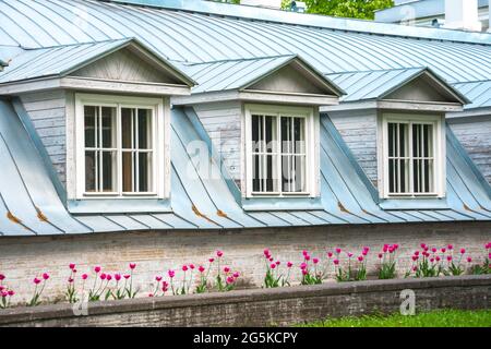 Das Haus mit drei Fenstern und Dächern unter ihnen mit einem Blumenbeet und Rasenflächen vor dem Gebäude im Hof Stockfoto