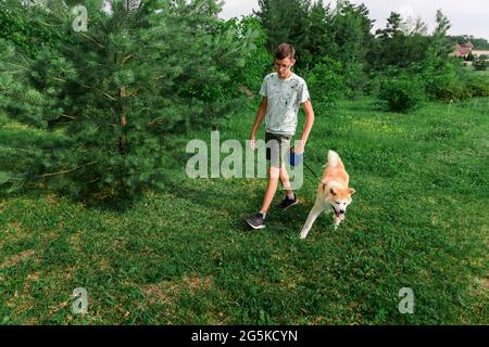 Ein junger Mann spaziert in einem Sommerpark mit einem jungen Welpen eines Hundes Akita. Anders. Das Konzept der Freundschaft zwischen einem Mann und einem Hund. Stockfoto