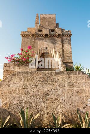 Blick auf den historischen Befestigungsturm - Torre Colimena im Dorf Manduria, Provinz Taranto, Apulien, Italien Stockfoto