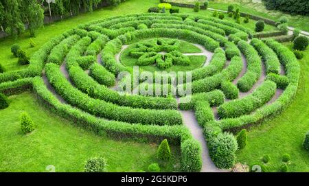 Topiary Garten in Form eines Labyrinths, im botanischen Garten Grischka in Kiew. Stockfoto