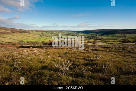 Tal mit Heidemoor, Trockensteinmauer und von Bäumen gesäumten Feldern unter herbstlich blauem Himmel im Tal von Glaisdale, Yorkshire, Großbritannien. Stockfoto