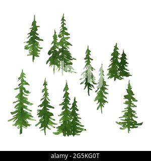 Aquarell Set von grünen Kiefern für Weihnachten und Neujahr Dekoration Stockfoto