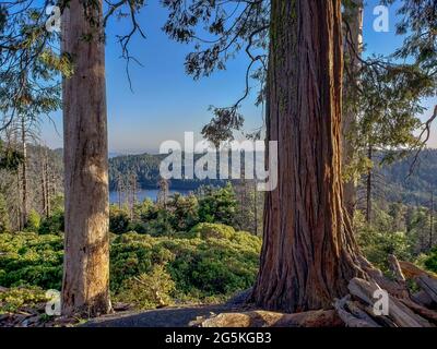 Blick vom Sequoia Lake auf den Dead Giant Loop Trail, Kings Canyon National Park, Kalifornien. Stockfoto