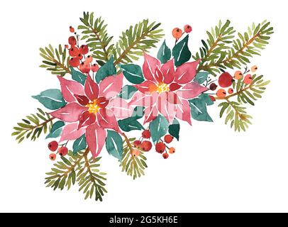 Aquarell Blumenarrangement von Evergreens Weihnachten. Weihnachtssterne, Fichte und rote Beeren Stockfoto