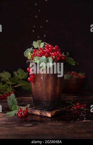 Wassertropfen, die in einer Tonschüssel auf einem dunklen Holztisch auf reife rote Johannisbeerbeeren strömen, rustikaler Stil, Nahaufnahme. Stockfoto