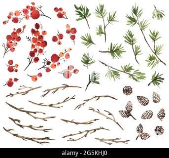 Aquarell-Set aus Stechbeeren, Fichte, Tannenzapfen und trockenen Zweigen zur Weihnachtsdekoration Stockfoto