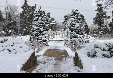 Steile, eisige Auffahrt und schneebedeckte immergrüne Bäume in einem städtischen Wohnviertel Stockfoto