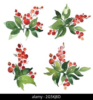 Weihnachtliche Aquarelle mit Blumenstrauß-Arrangements. Holly Beeren mit grünen Blättern Stockfoto