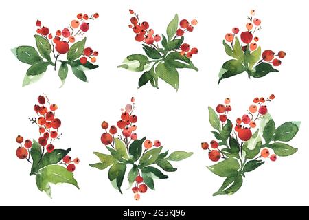 Weihnachtliche Aquarell-Set von Bouquet-Arrangements mit Stechbeeren und grünen Blättern Stockfoto