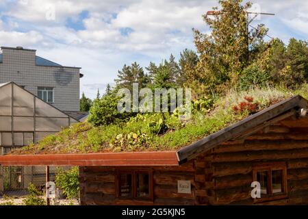 Holzhaus mit umfangreichen green living Dach mit Vegetation bedeckt Stockfoto