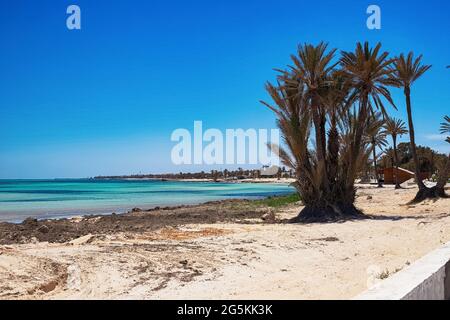 Ein schöner Blick auf die Mittelmeerküste mit Birkenwasser, einem Strand mit weißem Sand und einer grünen Palme. Stockfoto