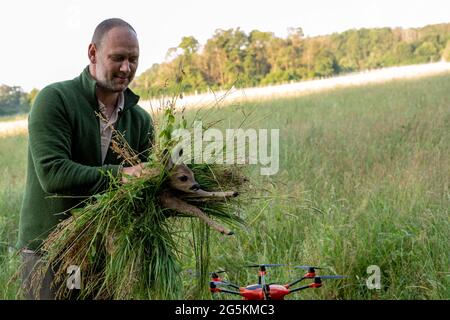 Magdeburg, Deutschland. Juni 2021. Wilko Florstedt vom Wildtierretter Sachsen-Anhalt trägt ein Rehkitz von einem Feld. Sie wurde zuvor mit einer Drohne verfolgt, die mit einer Wärmebildkamera ausgestattet war. Auf diese Weise werden Rehkitze vor dem Tod durch den Mäher großer Landmaschinen bewahrt. Nach eigenen Angaben hat der Verein Wildtierretter Sachsen-Anhalt in diesem Jahr bereits 200 Rehkitze vor einem qualvollen Tod gerettet. Quelle: Stephan Schulz/dpa-Zentralbild/ZB/dpa/Alamy Live News Stockfoto