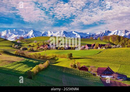 Bauernhäuser in der Nähe von Belpberg, Blick auf verschneite Berner Alpen, Kanton Bern, Schweiz, Europa Stockfoto