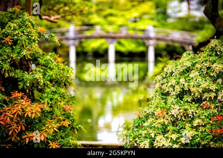 Kyoto, Japan Bildausschnitt im Vordergrund des grünen Frühlingsgartens pieris Blumen im Kaiserpalast mit Wasser und Steinbrücke auf friedlicher See po Stockfoto