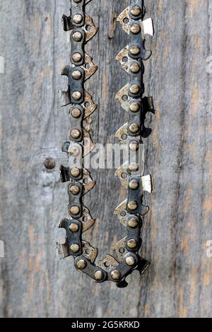 Kettensäge mit hängenden Details aus nächster Nähe Stockfoto