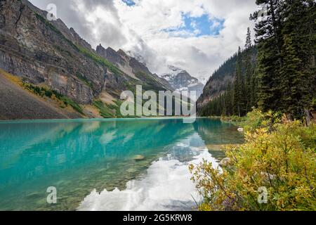 Blick auf den Mount Victoria, Spiegelung im türkisfarbenen Bergsee Lake Louise, Büsche mit gelben Herbstfarben, Ebene der sechs Gletscher, in der Nähe des Lake Lou Stockfoto