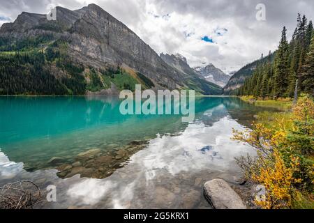 Blick auf den Mount Victoria, Spiegelung im türkisfarbenen Bergsee Lake Louise, Büsche mit gelben Herbstfarben, Ebene der sechs Gletscher, in der Nähe des Lake Lou Stockfoto