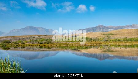 Berge spiegeln sich im See, Maskinonge Lake, Waterton Lakes National Park, Alberta, Kanada, Nordamerika Stockfoto