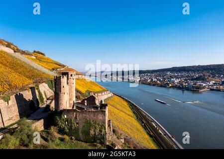 Luftaufnahme, Schloss Ehrenfels, Assmannshausen, Rüdesheim, UNESCO-Weltkulturerbe, Oberes Mittelrheintal, Rhein, Hessen, Deutschland, Europa Stockfoto