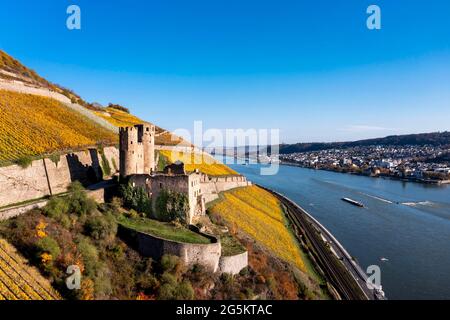 Luftaufnahme, Schloss Ehrenfels, Assmannshausen, Rüdesheim, UNESCO-Weltkulturerbe, Oberes Mittelrheintal, Rhein, Hessen, Deutschland, Europa Stockfoto