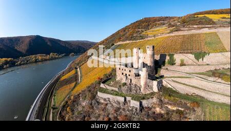 Luftaufnahme, Schloss Ehrenfels, Assmannshausen, Rüdesheim, UNESCO-Weltkulturerbe, Oberes Mittelrheintal, Rhein, Hessen, Deutschland, Europa Stockfoto