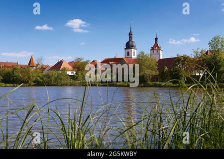 Blick über den Breiter See zur Altstadt mit der Kirche St. Sixstus und dem Stadtturm, auch Markt- oder Fischturm genannt, Prichsenstadt, Stockfoto