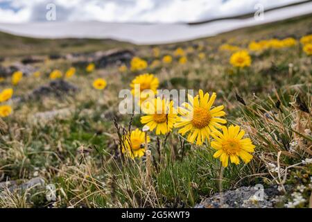 Old man of the Mountain, Colorado, USA Stockfoto