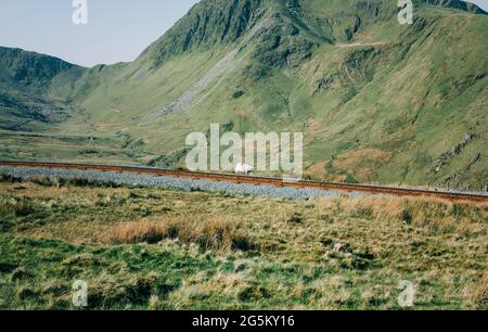 Schafe, die in den Welsh Mountains in Snowdon entlang einer Eisenbahnstrecke wandern Stockfoto