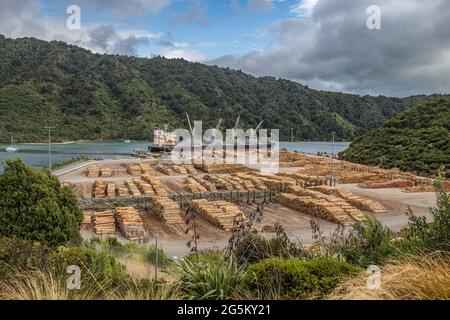 Log Port in Shakespeare Bay, Picton Stockfoto