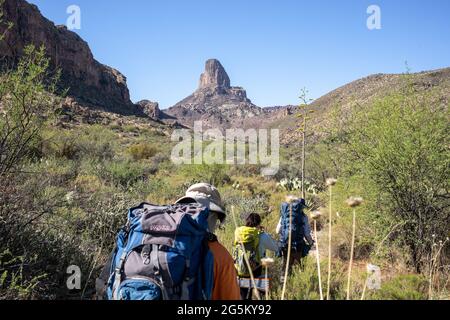 Wanderer arbeiten sich zur Weavers-Nadel in den Superstition Mountains Stockfoto