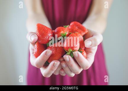 Mädchen hält eine Handvoll frischer Erdbeeren in ihren Handflächen in der Nähe. Stockfoto