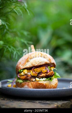 Rustikales Brötchen mit Chipotle-Huhn, gegrilltem Swet-Mais und Avocado Stockfoto