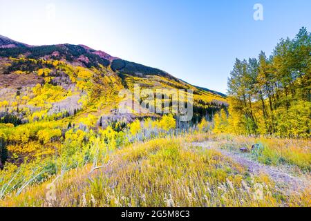 Kastanienbraune Glocken mit Blick von der Straße aus auf die leuchtend gelben Espenbäume in Colorado Rocky Mountains Herbstherbstgipfel Stockfoto