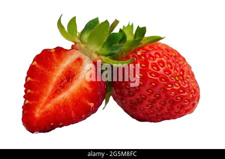 Hausgemachte, reife, saftige Erdbeeren mit Blättern aus nächster Nähe. Isolieren. Natürliche Bio-Früchte. Natürlicher Look. Stockfoto