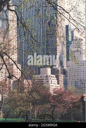 Moderner Blick auf die Stadt von der Wiese auf den Park. Stockfoto