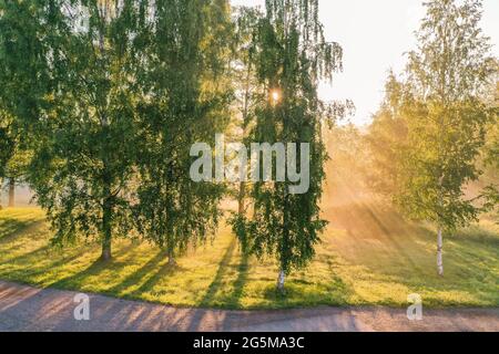 Sonnenaufgang am Morgen hinter den Bäumen Stockfoto