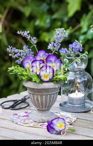 Bouquet PF Viola Blumen und Kätzchen in Vintage Vase Stockfoto