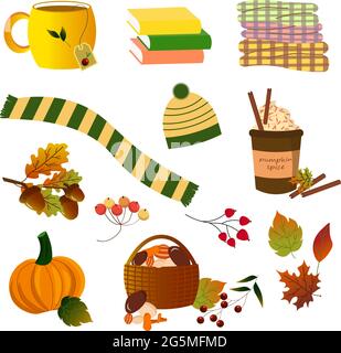 Herbstset. Herbstattribute - Hut und Schal, Karo, Tee und Kaffee, Herbstblätter und Beeren, Kürbis. Stock Vektor