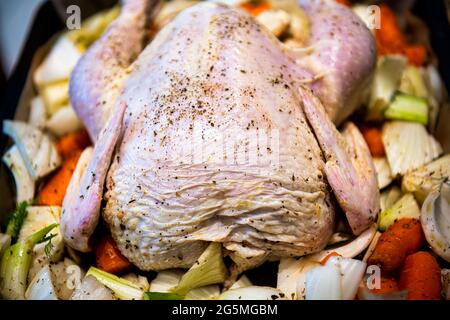 Rohe, ganze Hähnchen, ungekochte Haut mit Textur auf dem Backblech mit Fenchel-Karotten-Gemüse und schwarzem Pfeffer auf dem Vogel Stockfoto