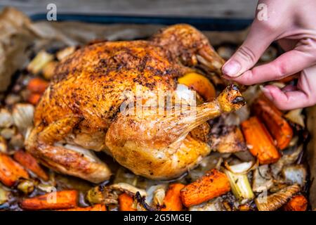 Gebratenes gebratenes gekochtes ganzes Huhn mit Frau, die Schnur mit Fenchel-Karotten-Gemüse und schwarzem Pfeffer auf der Haut entfernt Stockfoto
