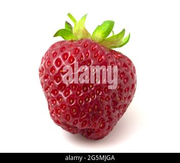 Rote Erdbeeren auf weißem Hintergrund isoliert Stockfoto