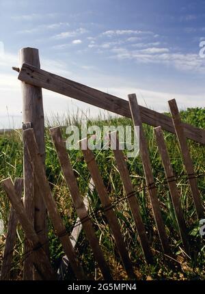 Strandzaun und Atlantisches Seegras entlang der Cape Cod National Seashore am Marconi Beach Stockfoto