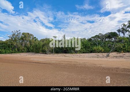 Küstenvegetation an einem Sandstrand mit Dünen unter einem wolkenblauen Himmel Stockfoto